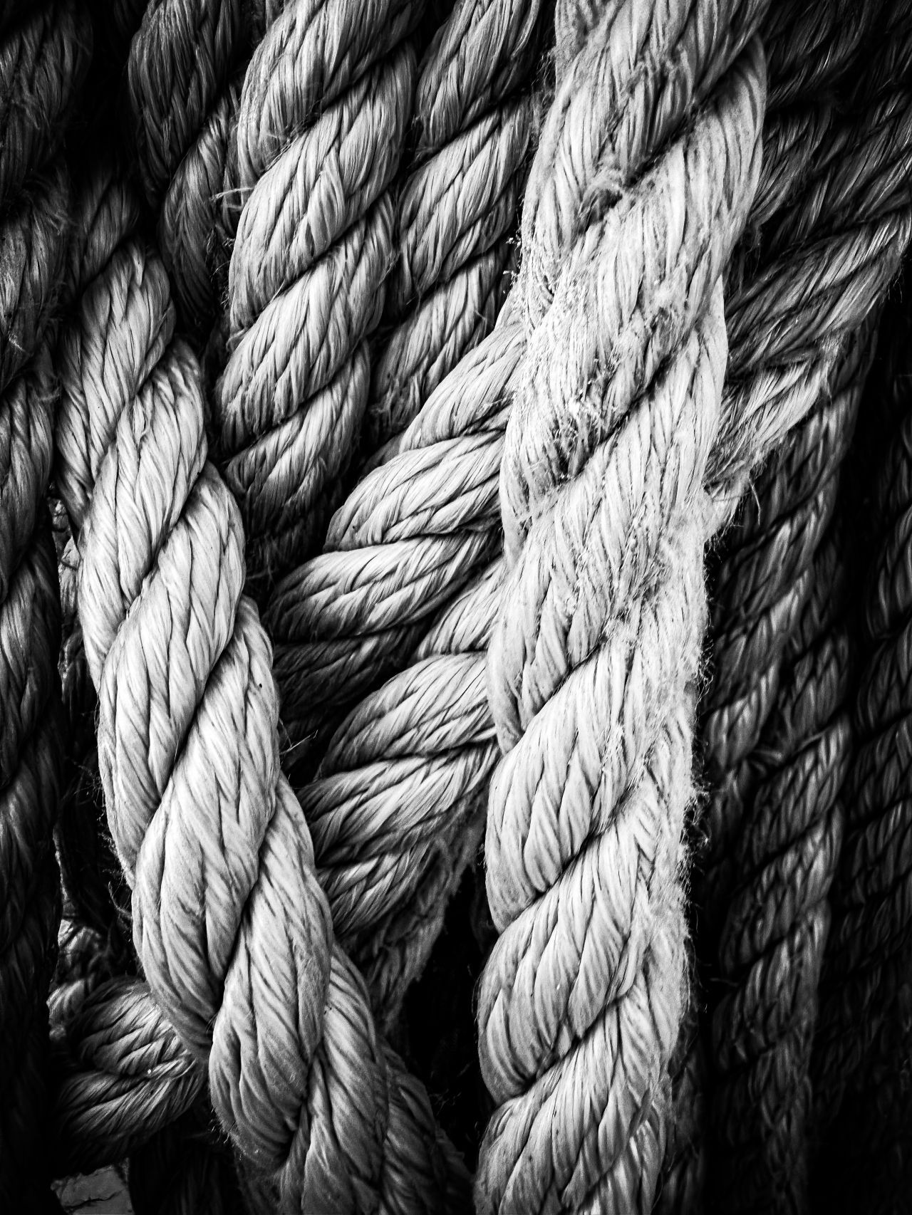 a black and white close-up of thick twisted rope coiled in bundles
