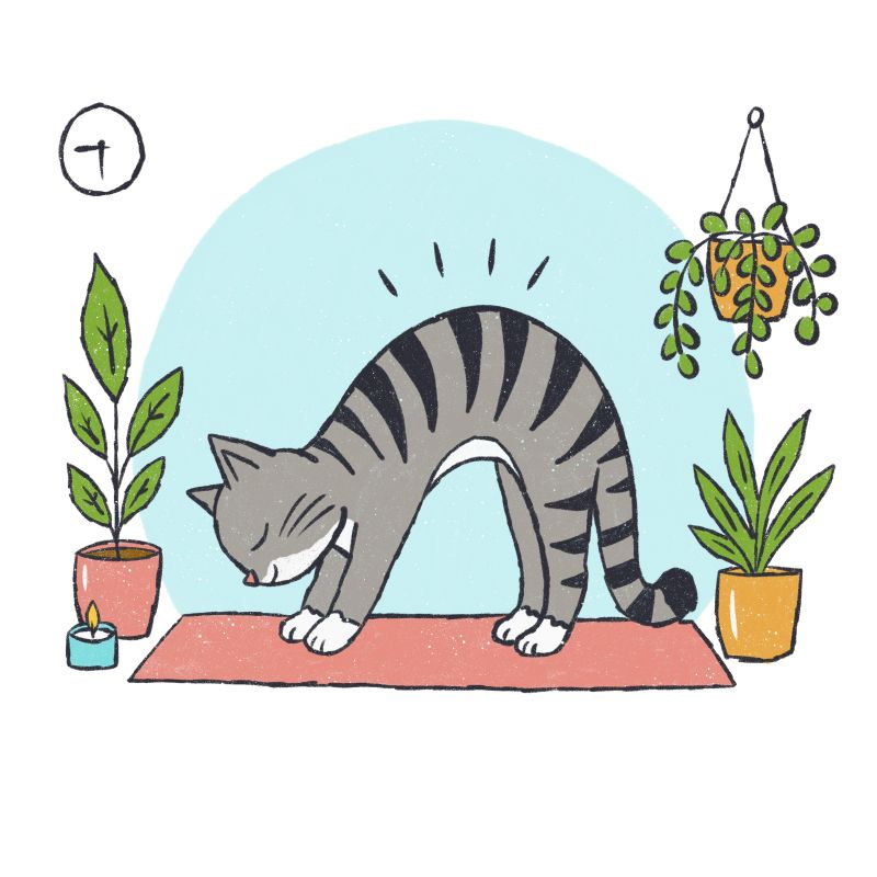 a hand-drawn illustration of a grey tabby cat stretching in a yoga cat-cow pose on a pink mat, surrounded by potted plants and a candle